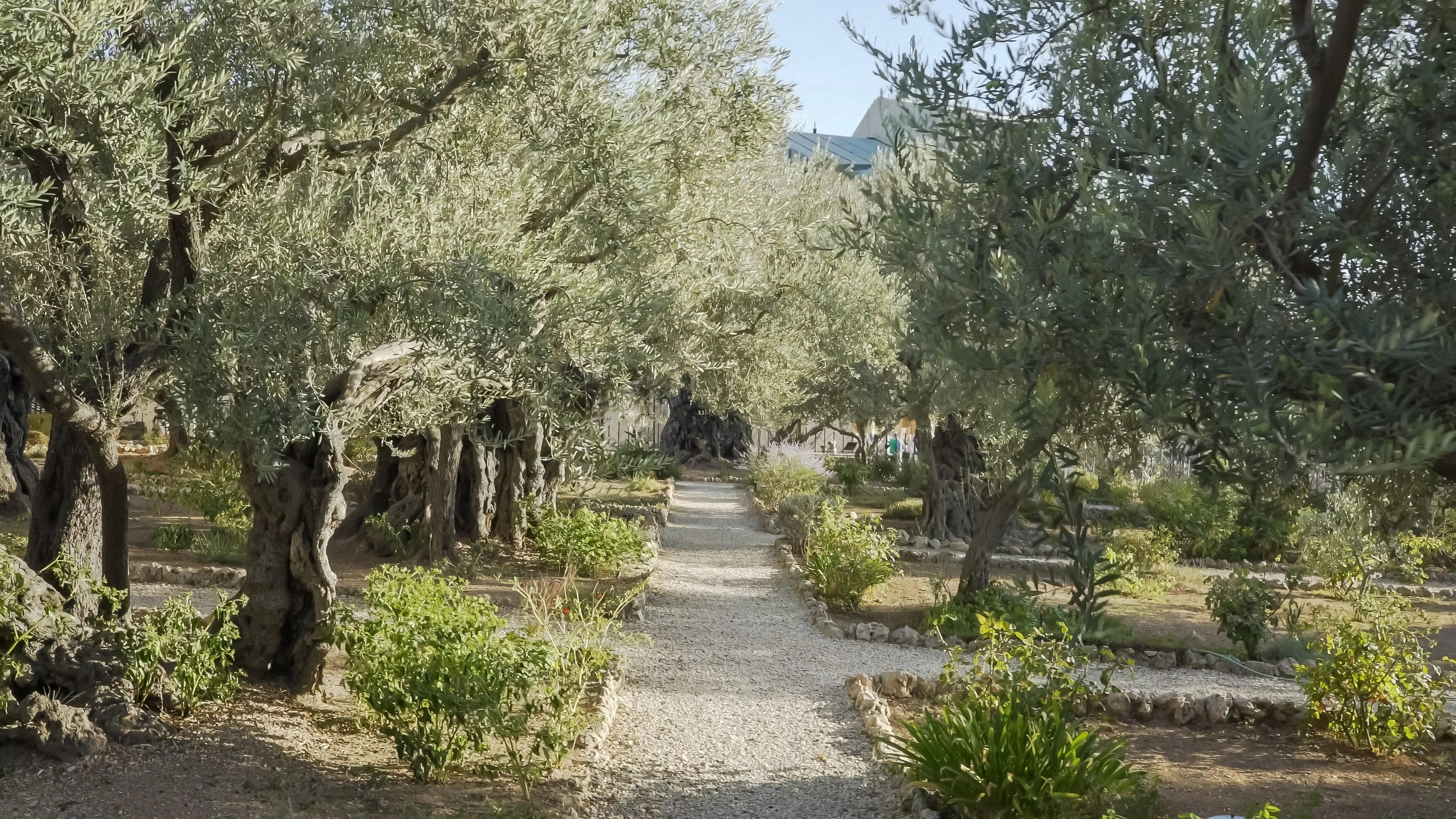 Garden of Gethsemane